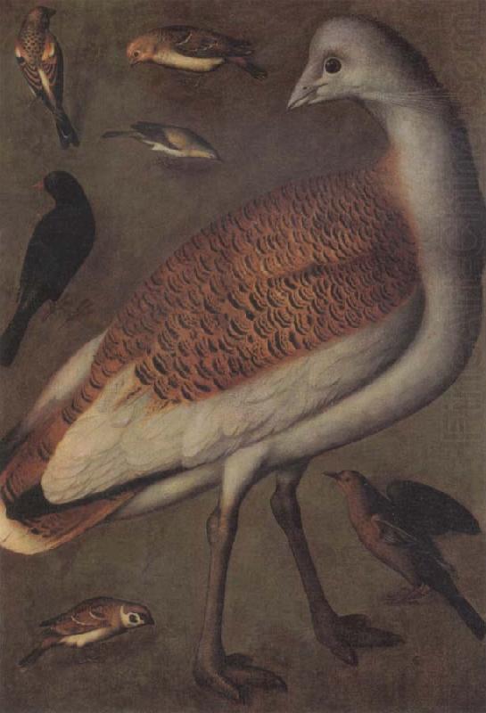 Ludger tom Ring Great Bustard Cock china oil painting image